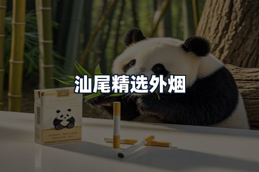 汕尾精选外烟